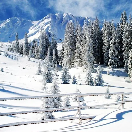 Malinovy Sen Ii * هابوكا