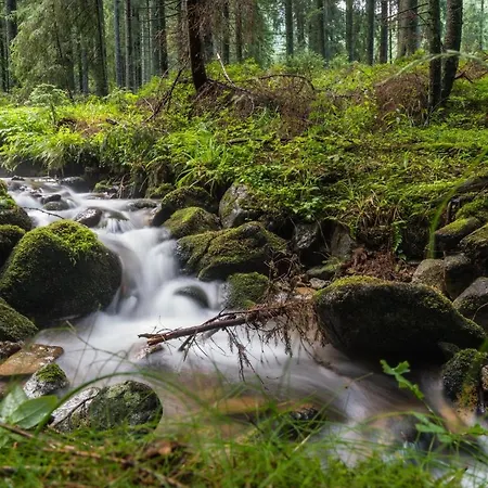 アパート Malinovy Sen Ii ハボフカ