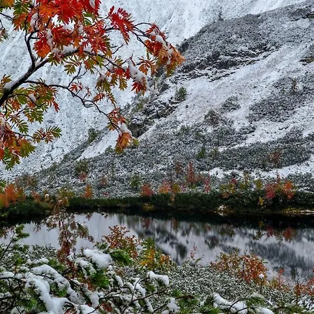 Malinovy Sen Ii ハボフカ